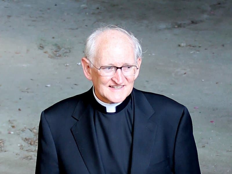 Portrait of James Cardinal Harvey
